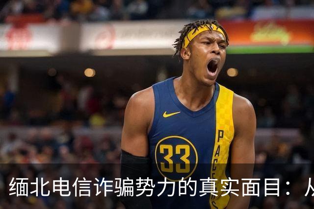 缅北电信诈骗势力的真实面目：从严密组织到土崩瓦解
